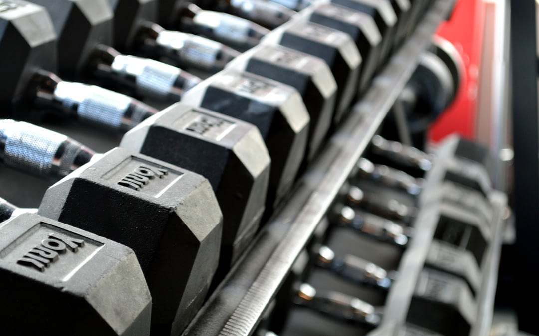 Best Gym Equipment for Weight Loss and Toning